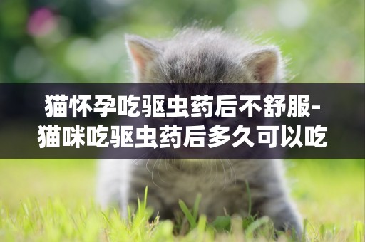 貓懷孕吃驅蟲藥后不舒服-貓咪吃驅蟲藥后多久可以吃飯