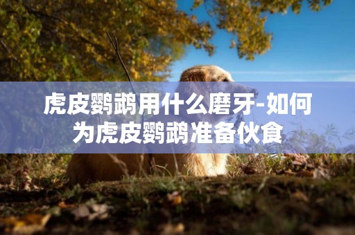 虎皮鸚鵡用什么磨牙-如何為虎皮鸚鵡準備伙食