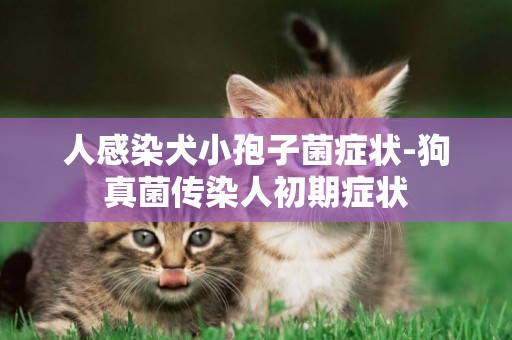 人感染犬小孢子菌癥狀-狗真菌傳染人初期癥狀