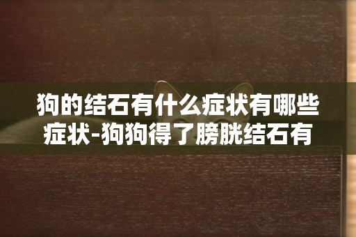狗的結石有什么癥狀有哪些癥狀-狗狗得了膀胱結石有哪些癥狀