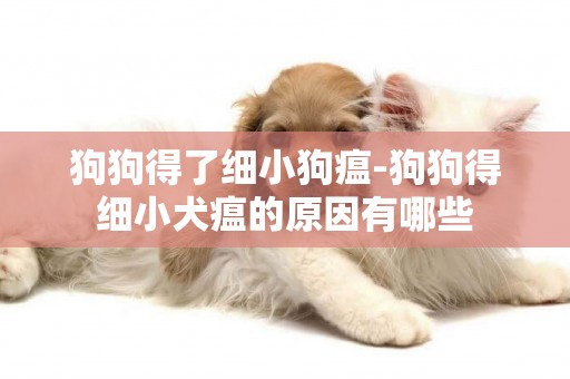 狗狗得了細小狗瘟-狗狗得細小犬瘟的原因有哪些