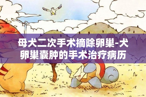 母犬二次手術摘除卵巢-犬卵巢囊腫的手術治療病歷