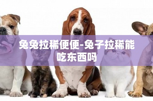 兔兔拉稀便便-兔子拉稀能吃東西嗎