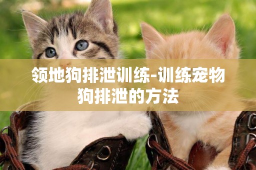 領地狗排泄訓練-訓練寵物狗排泄的方法