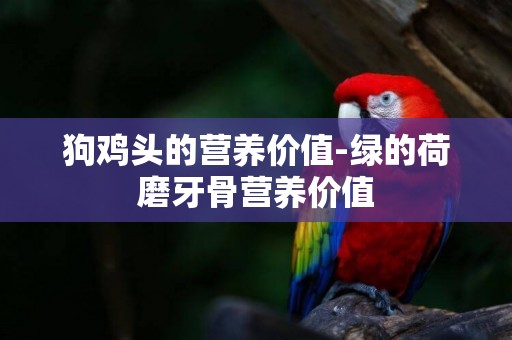 狗雞頭的營養價值-綠的荷磨牙骨營養價值