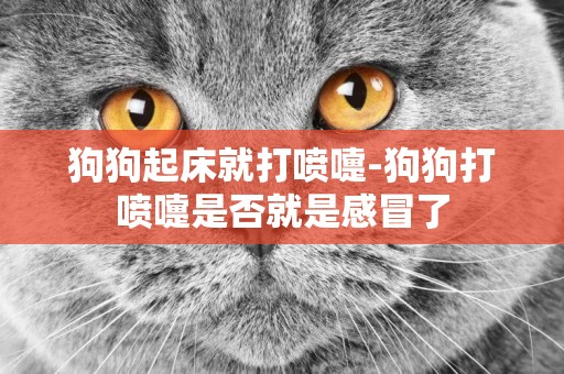 狗狗起床就打噴嚏-狗狗打噴嚏是否就是感冒了