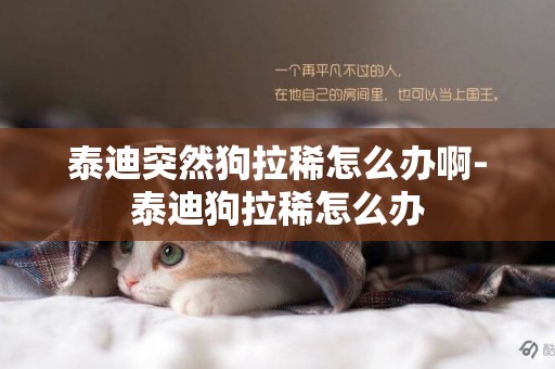 泰迪突然狗拉稀怎么辦啊-泰迪狗拉稀怎么辦