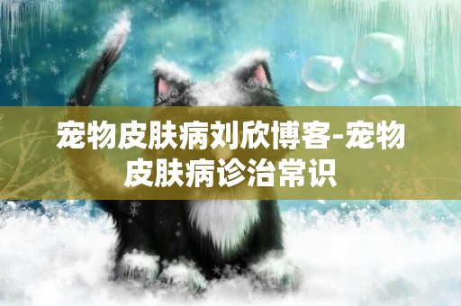 寵物皮膚病劉欣博客-寵物皮膚病診治常識