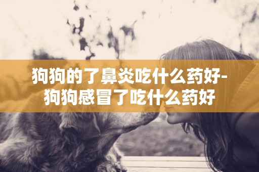 狗狗的了鼻炎吃什么藥好-狗狗感冒了吃什么藥好