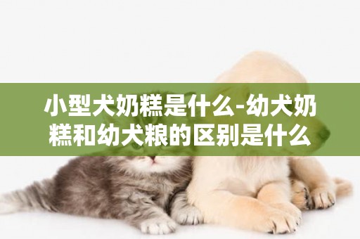 小型犬奶糕是什么-幼犬奶糕和幼犬糧的區別是什么