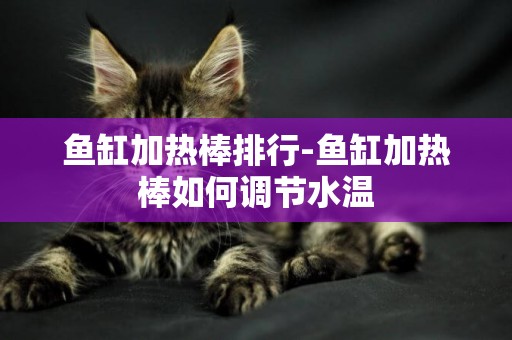 魚缸加熱棒排行-魚缸加熱棒如何調節水溫