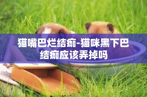 貓嘴巴爛結痂-貓咪黑下巴結痂應該弄掉嗎