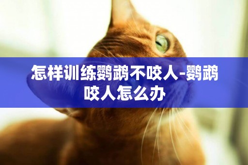 怎樣訓練鸚鵡不咬人-鸚鵡咬人怎么辦
