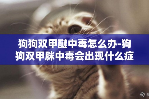 狗狗雙甲醚中毒怎么辦-狗狗雙甲脒中毒會出現什么癥狀