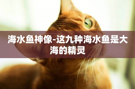 海水魚神像-這九種海水魚是大海的精靈