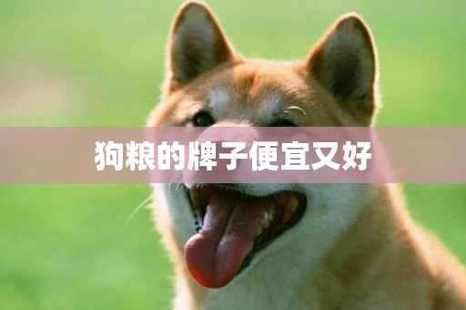 狗糧的牌子便宜又好