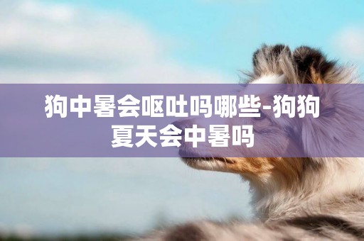 狗中暑會嘔吐嗎哪些-狗狗夏天會中暑嗎