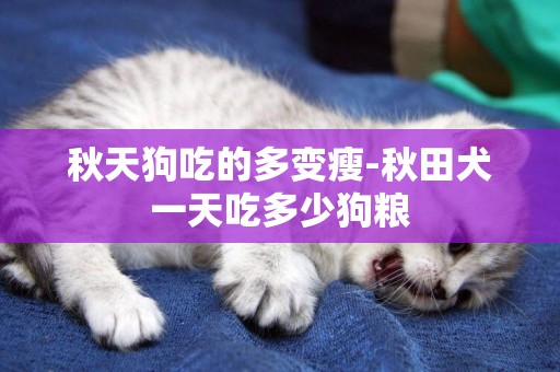 秋天狗吃的多變瘦-秋田犬一天吃多少狗糧