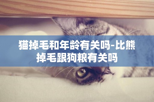 貓掉毛和年齡有關嗎-比熊掉毛跟狗糧有關嗎