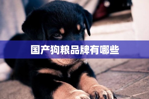國產狗糧品牌有哪些