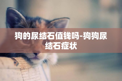 狗的尿結石值錢嗎-狗狗尿結石癥狀