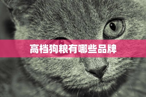 高檔狗糧有哪些品牌