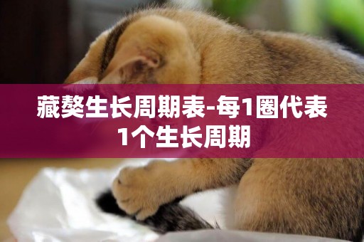 藏獒生長周期表-每1圈代表1個生長周期