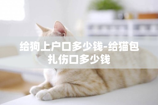 給狗上戶口多少錢-給貓包扎傷口多少錢