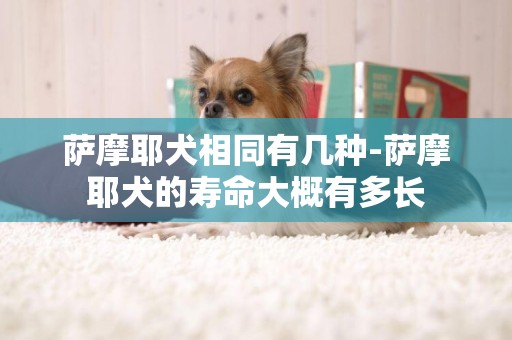 薩摩耶犬相同有幾種-薩摩耶犬的壽命大概有多長