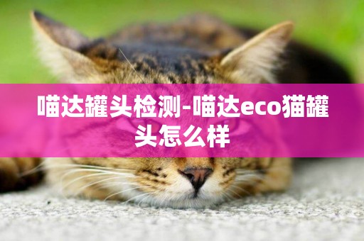 喵達罐頭檢測-喵達eco貓罐頭怎么樣