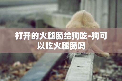 打開的火腿腸給狗吃-狗可以吃火腿腸嗎