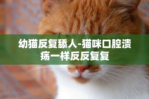 幼貓反復舔人-貓咪口腔潰瘍一樣反反復復