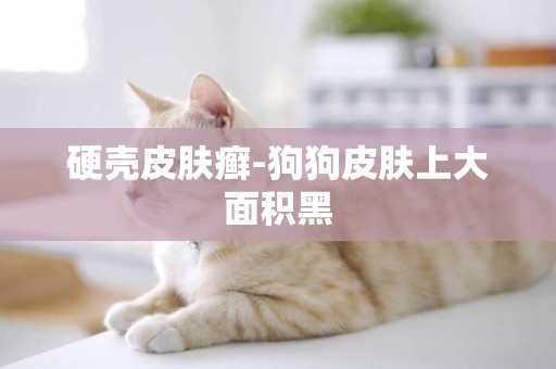 硬殼皮膚癬-狗狗皮膚上大面積黑