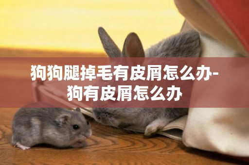 狗狗腿掉毛有皮屑怎么辦-狗有皮屑怎么辦