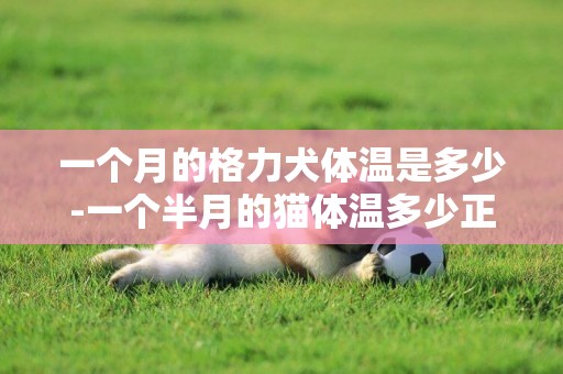 一個月的格力犬體溫是多少-一個半月的貓體溫多少正常