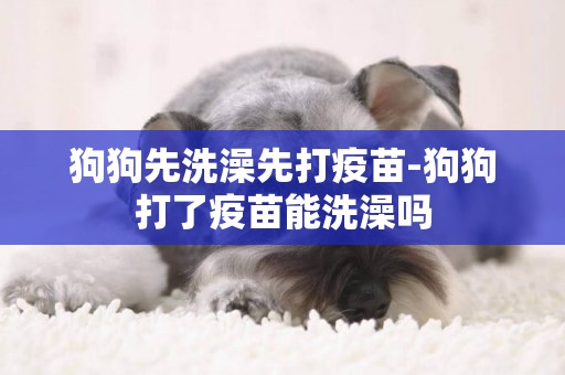 狗狗先洗澡先打疫苗-狗狗打了疫苗能洗澡嗎