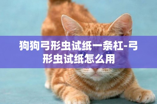 狗狗弓形蟲試紙一條杠-弓形蟲試紙怎么用