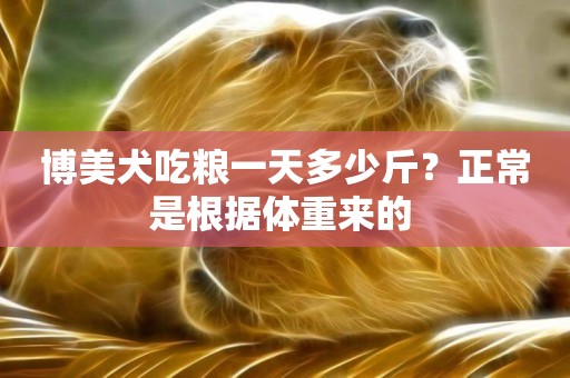 博美犬吃糧一天多少斤？正常是根據體重來的 