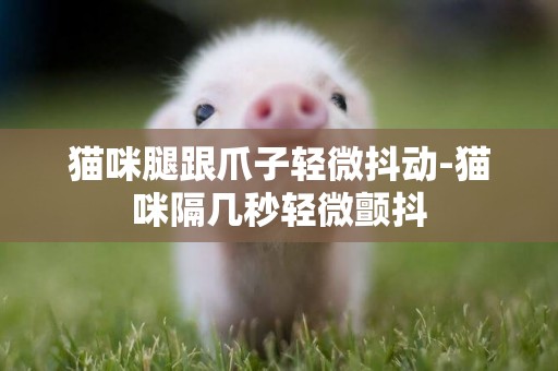 貓咪腿跟爪子輕微抖動-貓咪隔幾秒輕微顫抖