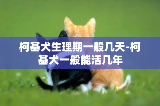柯基犬生理期一般幾天-柯基犬一般能活幾年