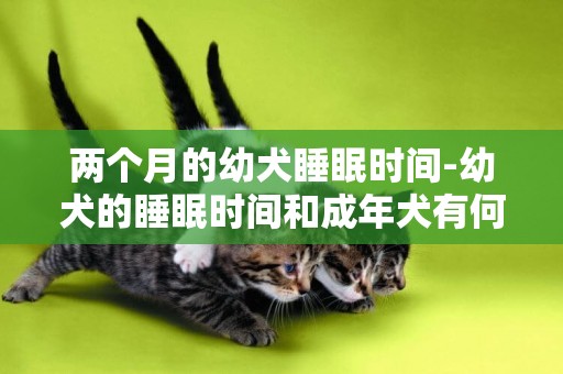 兩個月的幼犬睡眠時間-幼犬的睡眠時間和成年犬有何不同