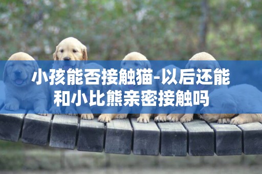 小孩能否接觸貓-以后還能和小比熊親密接觸嗎