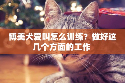 博美犬愛叫怎么訓練？做好這幾個方面的工作 