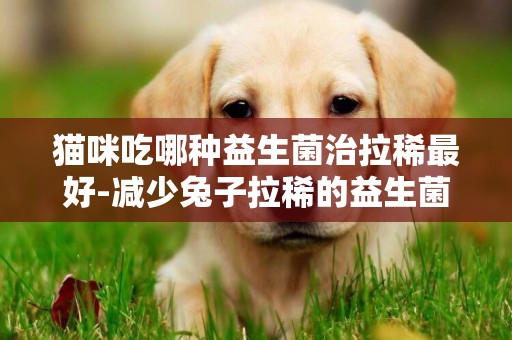 貓咪吃哪種益生菌治拉稀最好-減少兔子拉稀的益生菌哪種好