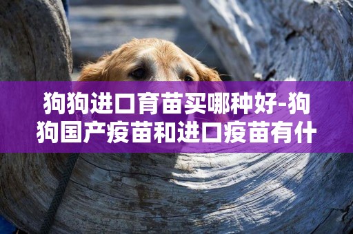 狗狗進口育苗買哪種好-狗狗國產疫苗和進口疫苗有什么區別