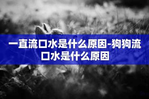 一直流口水是什么原因-狗狗流口水是什么原因