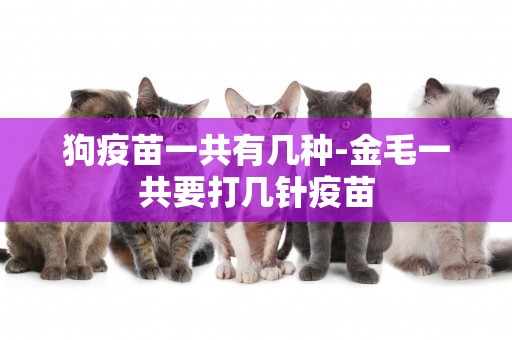 狗疫苗一共有幾種-金毛一共要打幾針疫苗