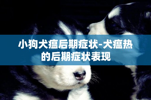 小狗犬瘟后期癥狀-犬瘟熱的后期癥狀表現