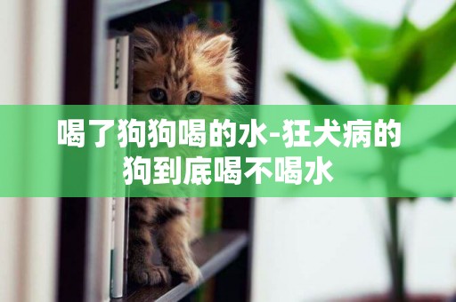 喝了狗狗喝的水-狂犬病的狗到底喝不喝水