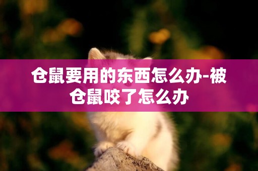 倉鼠要用的東西怎么辦-被倉鼠咬了怎么辦